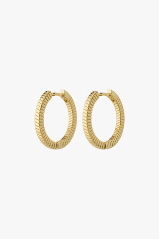 Dominique Flat Snake Gold Hoop Recycled Earrings ACC Jewellery Pilgrim   
