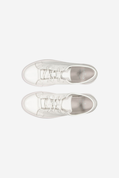 Bandit White Flat Laced Leather Sneaker ACC Shoes - Sneakers Minx   
