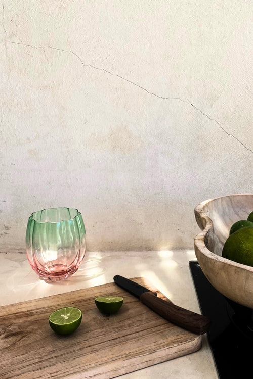Petal Watermelon Stemless Wine Glass Set 4 HW Drinkware - Tumbler, Wine Glass, Carafe, Jug Home Lab   