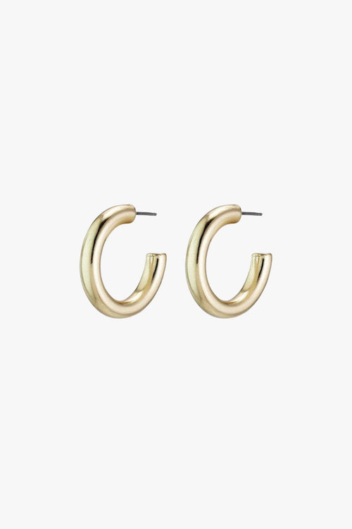 Maddie Pi Gold Chunky Hoop Earings ACC Jewellery Pilgrim   