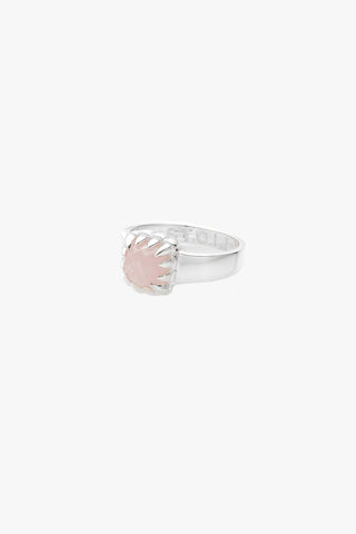 Baby Claw Rose Quartz Ring Large Q ACC Jewellery Stolen Girlfriends Club   