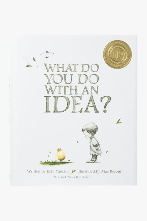 What Do You Do Wth An Idea? HW Books Compendium   
