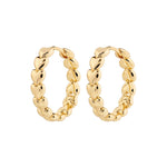 Gold hoop earrings on a white background