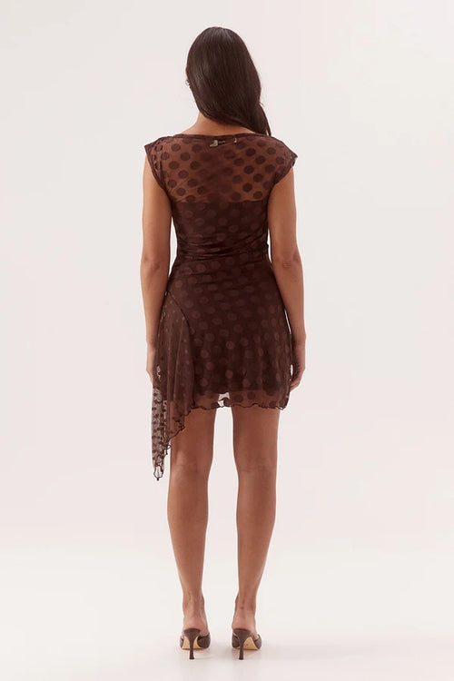 A woman viewed from the back wearing a brown sheer mesh mini dress with a dark polka dot pattern and a lace-trimmed hem, paired with brown heels, against a plain white studio background.