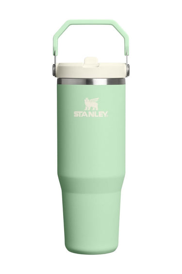 IceFlow Pistachio Flip Straw 30oz Tumbler