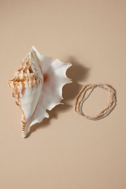 Seashell and rope on a beige background