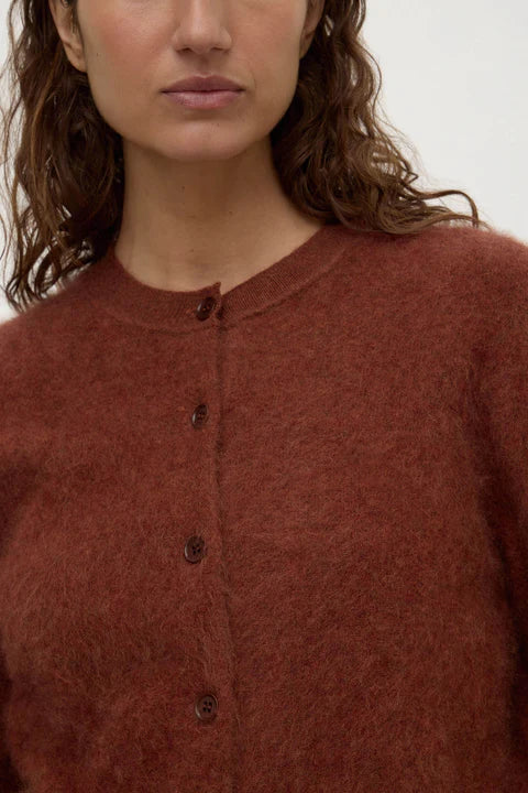 Close-up of a person wearing a brown button-up shirt against a white background