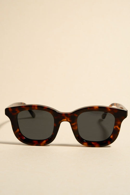 brown tort sunglasses