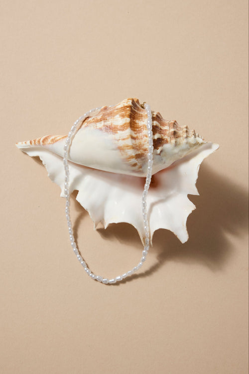 Pearl necklace draped over a large shell on a beige background