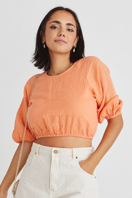 Embellish Melon Self Check Cropped Puff Sleeve Top WW Top Ivy + Jack   