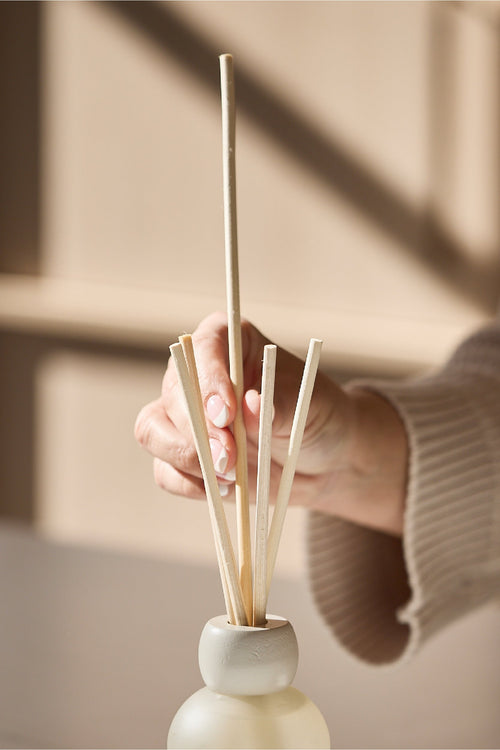 Hand holding a diffuser with wooden sticks in a neutral setting