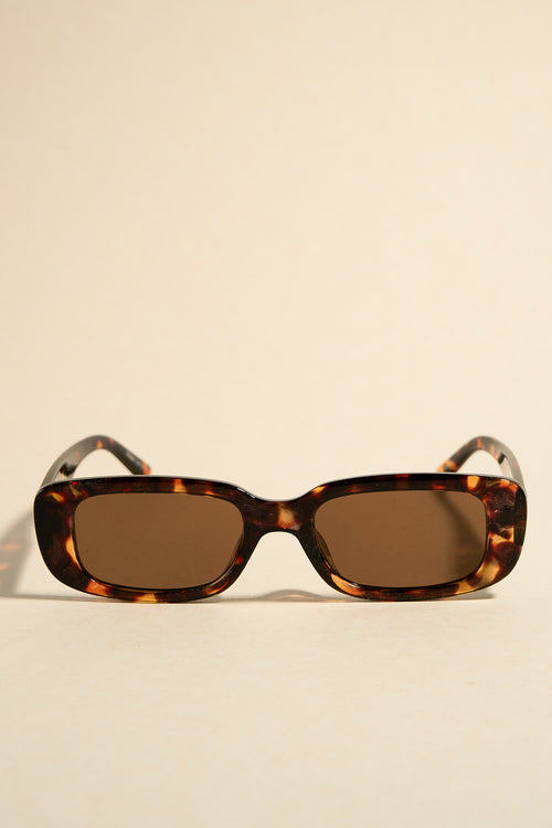 brown tort sunglasses