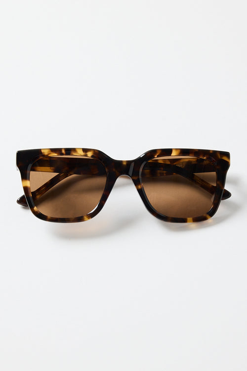 Rounded-square tortoiseshell sunglasses with warm brown tinted lenses, photographed on a white background