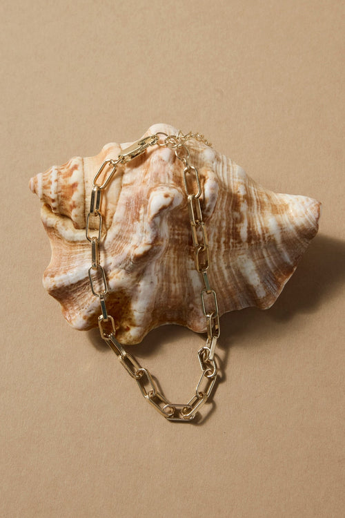 Seashell with a gold chain on a beige background