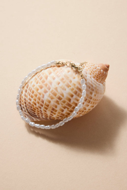 Shell with a beaded bracelet on a beige background