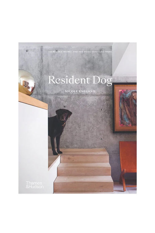 Book cover of 'Resident Dog' by Nicolle England with a dog on steps and a chair in the background.