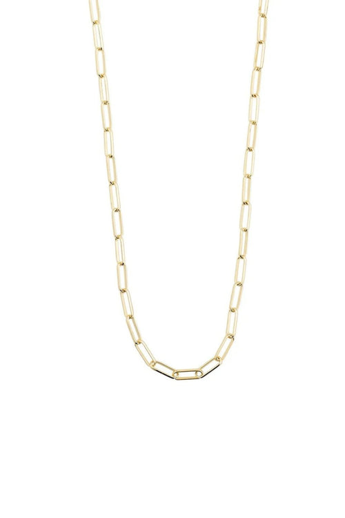 Gold chain necklace on a white background