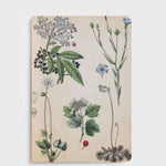 Notebook cover with botanical illustrations on a beige background