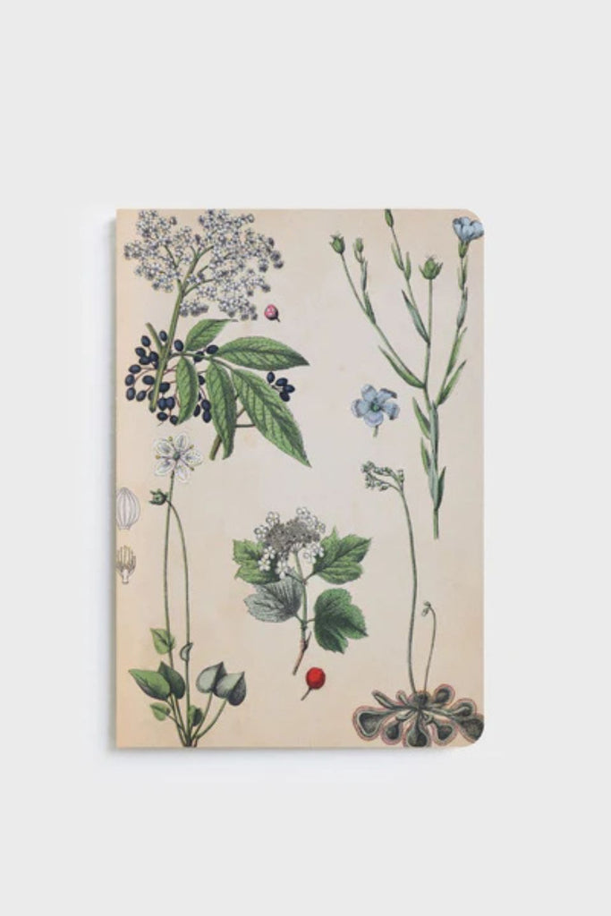 Field Notebook Examples Botany Shop Field Botany Natural Notebook | Flo & Frankie
