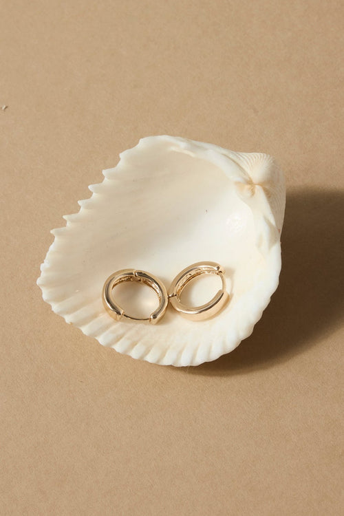 Two gold rings inside a white shell on a beige background