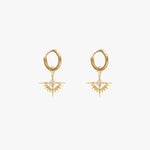 gold earrings 