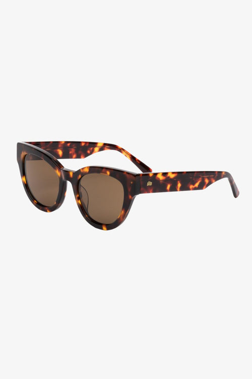 Soul Fusion Maple Torte Brown Polar Lens Sunglasses ACC Glasses - Sunglasses Sito   