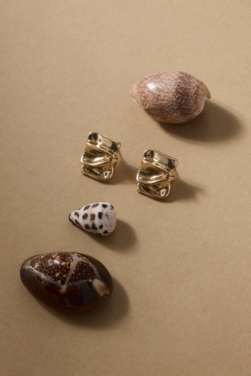 Three small shells on a beige surface