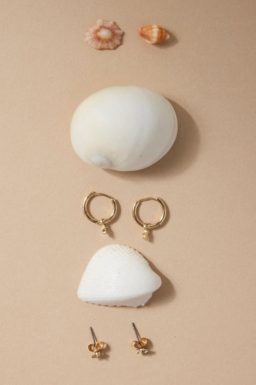 Shell-shaped earrings and a shell on a beige background
