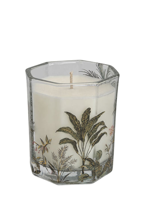 A white wax candle in a clear hexagonal glass jar decorated with an elegant botanical illustration of tropical leaves and small flowers in muted green, gold, and pink tones.