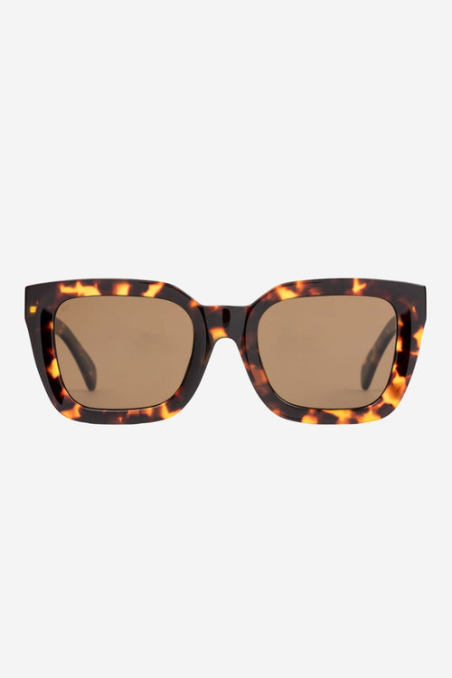 Harlow Maple Torte Brown Polar Lens Sunlglasses ACC Glasses - Sunglasses Sito   