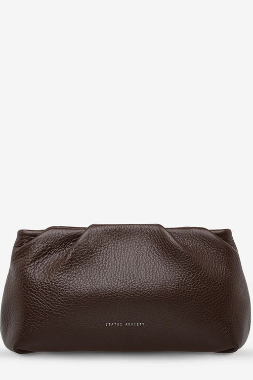 A dark brown pebbled leather pouch bag with a small silver-toned 'STATUS ANXIETY' logo on the front, set against a plain white background.