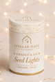Charge & Go Copper Warm White Rechargeable 2m String Seed Lights
