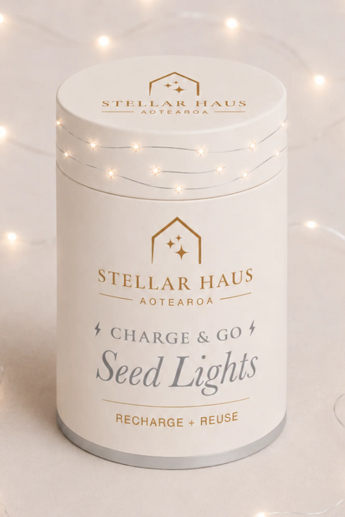 Charge & Go Silver Warm White Rechargeable 2m String Seed Lights