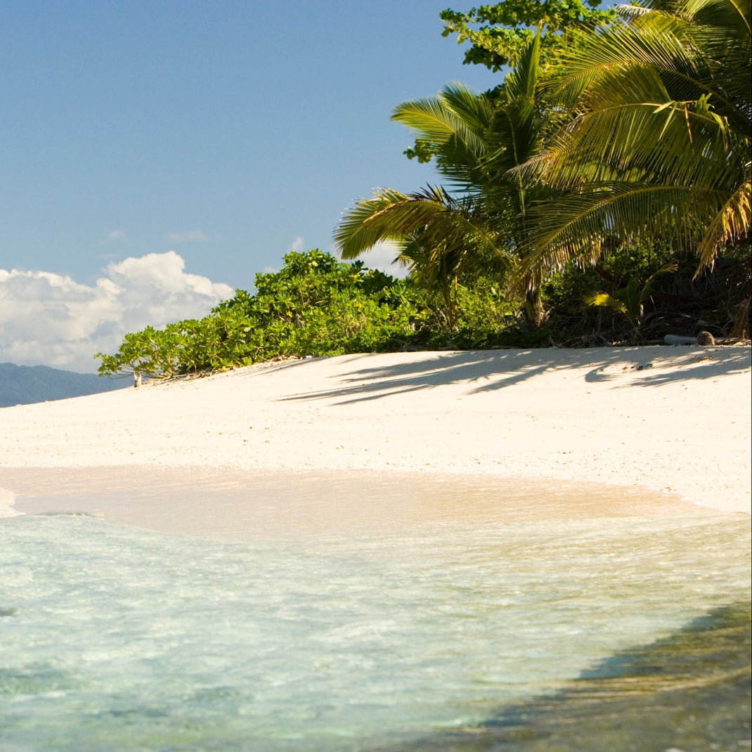 SIGN UP | WIN FREE TRIP FIJI – Flo