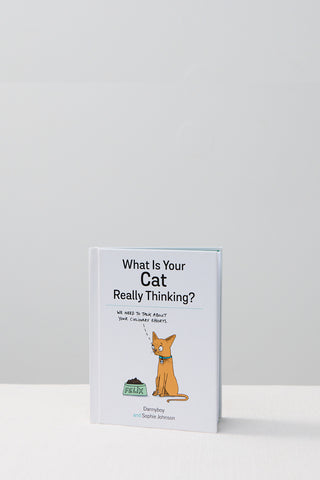 What Is Your Cat Really Thinking?