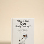 What Is Your Dog Really Thinking?