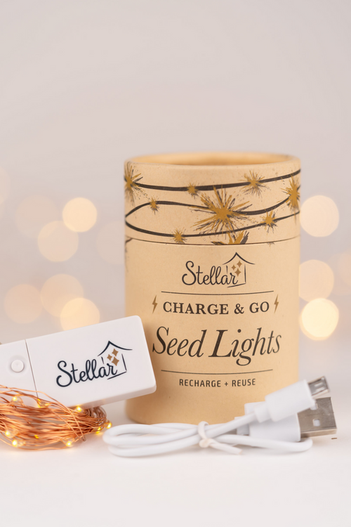 Charge & Go Copper Warm White Rechargable 3m String Seed Lights HW Lighting - Lamp, Candleholder, Lantern, Shade Stellar Haus   