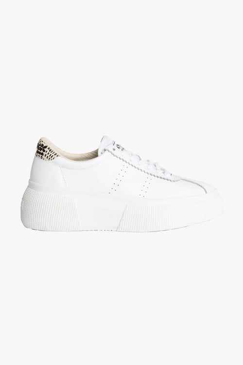 2822 Club 5 White with Faux Reptile Trim Sneaker ACC Shoes - Sneakers Superga   