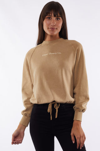 Sleek Brown Logo Drawstring Fleece WW Sweatshirt Silent Theory   