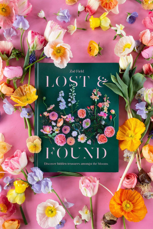 Lost & Found HW Books Bookreps NZ   