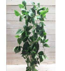 Hanging Philodendro Bush HW Planters, Foliage, Artificial Flowers Chiba Enterprises   