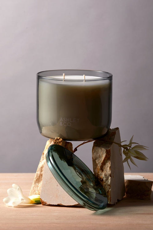 Natural Waxed Blossom + Gilt Perfume Candle XL 730g HW Fragrance - Candle, Diffuser, Room Spray, Oil Ashley+Co   