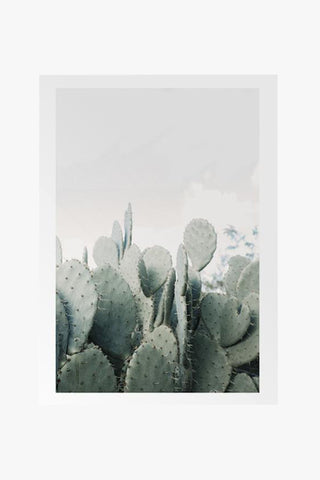 In The Desert Cacti White Framed A2 Print HW Art - Wall Decor, Clock, Wall Mirror Papier HQ   