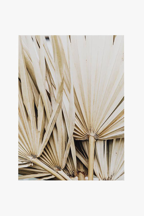 Dried Palm Leaves Natural Print Natural Frame A1 Print HW Art - Wall Decor, Clock, Wall Mirror Papier HQ   