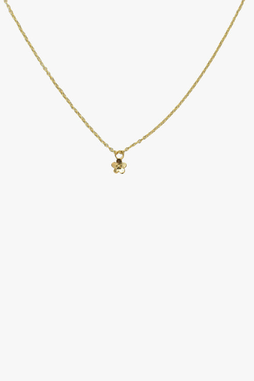 Daisy Day Gold Necklace ACC Jewellery Sophie   