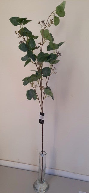 Tall Eucalyptus Branch with Seeds 107cm HW Planters, Foliage, Artificial Flowers Alisons Acquisitions   