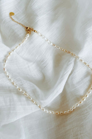 Mizuki Pearl Gold Necklace EOL ACC Jewellery Silver Linings   