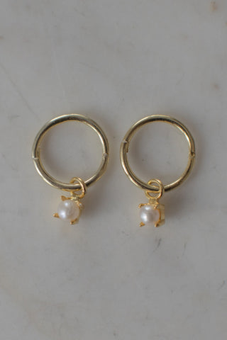 Mini Pearl Sleeper Earrings Gold ACC Jewellery Sophie   