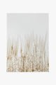 Pampas Grass Natural Framed A1 Print