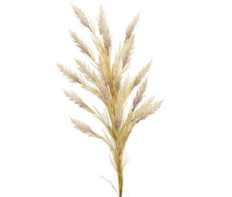 Soft Natural Reed Spray 120cm HW Planters, Foliage, Artificial Flowers Robert Mark   